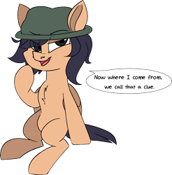 Size: 1434x1455 | Tagged: safe, artist:taaffeiite, derpibooru exclusive, oc, oc only, oc:lux astera, pegasus, pony, clothes, commission, dialogue, hat, looking at you, male, open mouth, simple background, sitting, solo, speech bubble, stallion, transparent background