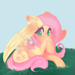 Size: 1900x1900 | Tagged: safe, artist:x-michimochi-x, fluttershy, pegasus, pony, g4, colored pupils, cute, female, looking at you, mare, shyabetes, solo