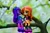 Size: 1024x680 | Tagged: safe, artist:artofmagicpoland, sunset shimmer, twilight sparkle, alicorn, equestria girls, g4, doll, equestria girls minis, female, flower, irl, photo, toy, tree branch, twilight sparkle (alicorn)