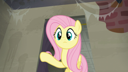 Size: 1920x1080 | Tagged: safe, screencap, fluttershy, pegasus, pony, g4, the saddle row review, female, mare, solo