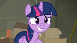 Size: 1920x1080 | Tagged: safe, screencap, twilight sparkle, alicorn, pony, g4, my little pony: friendship is magic, the saddle row review, cardboard box, female, mare, smiling, solo, twilight sparkle (alicorn)