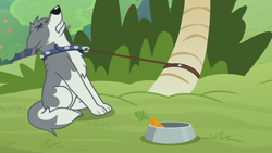 Size: 1920x1080 | Tagged: safe, screencap, sandra, wolf, g4, she talks to angel, carrot, collar, eyes closed, food, gritted teeth, leash, pet bowl, pulling, straining, struggling
