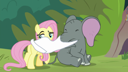 Size: 1920x1080 | Tagged: safe, screencap, angel bunny, fluttershy, muriel, elephant, pegasus, pony, g4, she talks to angel, baby elephant, body swap, butt, cloth, duo, eyes closed, female, indifferent, lidded eyes, male, mare, not fluttershy, obscured face, plot, raised eyebrow, raised hoof, removal, sitting, underhoof