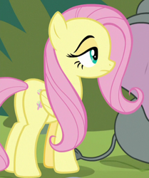 Size: 426x509 | Tagged: safe, screencap, angel bunny, fluttershy, pegasus, pony, g4, she talks to angel, body swap, butt, cropped, female, mare, plot, solo focus