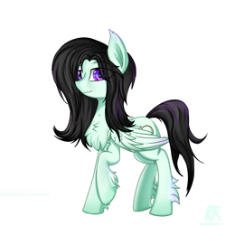 Size: 3000x3000 | Tagged: safe, artist:ktk's sky, oc, oc only, pegasus, pony, black hair, high res, male, solo