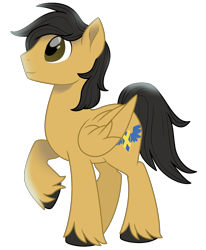 Size: 2296x2785 | Tagged: safe, artist:lostinthetrees, oc, oc only, oc:crisom chin, pegasus, pony, high res, simple background, solo, transparent background, unshorn fetlocks, wings