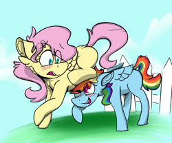 Size: 3000x2500 | Tagged: safe, artist:antimationyt, fluttershy, rainbow dash, pegasus, pony, the crystal empire, blushing, cheek fluff, duo, ear fluff, female, flutterdash, folded wings, lesbian, looking at each other, mare, missing cutie mark, open mouth, outdoors, pushing, raised hoof, rump push, scene interpretation, shipping, smiling, varying degrees of amusement, wings