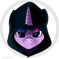 Size: 640x640 | Tagged: safe, artist:snowjack18, twilight sparkle, pony, g4, clothes, female, hoodie, ponified, solo, telegram, twigram