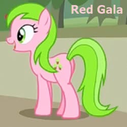 Size: 400x400 | Tagged: safe, edit, edited screencap, screencap, red gala, earth pony, pony, apple family reunion, g4, apple family member, cropped, female, solo, zoomed in