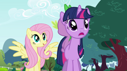 Size: 1920x1080 | Tagged: safe, screencap, fluttershy, spike, twilight sparkle, dragon, pegasus, pony, unicorn, friendship is magic, g4, tree, unicorn twilight