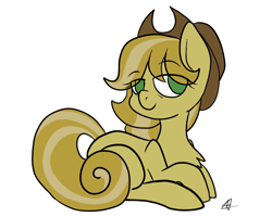 Size: 2500x2000 | Tagged: safe, artist:katyusha, oc, oc only, oc:nitro express, earth pony, pony, female, hat, high res, mare, signature, simple background, solo, two toned hair, white background