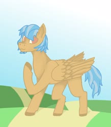 Size: 1544x1773 | Tagged: safe, artist:circumflexs, oc, oc only, pegasus, pony, looking at you, raised hoof, raised leg, solo, wings