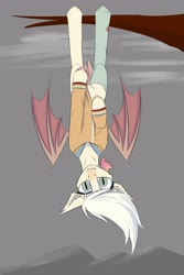 Size: 2000x3000 | Tagged: safe, artist:observerdoz, oc, oc only, bat pony, pony, bat pony oc, bat wings, female, high res, looking at you, solo, tree branch, upside down, wings