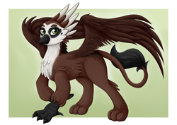 Size: 3508x2480 | Tagged: safe, artist:puggie, oc, oc only, griffon, griffon oc, high res, solo