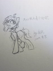 Size: 4032x3024 | Tagged: safe, artist:nightwind, oc, oc only, pony, black and white, grayscale, monochrome, solo, traditional art