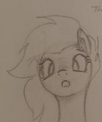 Size: 839x1001 | Tagged: safe, artist:swegmeiser, oc, oc only, pony, haha look at this fuckin nerd, monochrome, solo, traditional art