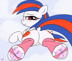 Size: 4000x3400 | Tagged: safe, artist:littlenaughtypony, oc, oc only, oc:ocean bird, pegasus, pony, blushing, clothes, dock, female, fetish, frog (hoof), hoof fetish, looking at you, looking back, solo, stirrup stockings, stockings, thigh highs, underhoof