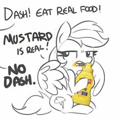 Size: 600x600 | Tagged: safe, artist:tjpones, rainbow dash, pegasus, pony, g4, dialogue, food, mustard, offscreen character, rainbow dumb, rainbow mustard, sauce, simple background, that pony sure does love mustard, white background