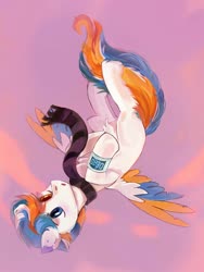 Size: 1500x2000 | Tagged: safe, artist:raily, pegasus, pony, sky