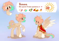 Size: 2400x1700 | Tagged: safe, artist:raily, oc, oc only, pegasus, pony, cutie mark, cyrillic, reference sheet, russian, simple background, text