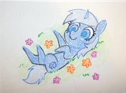 Size: 3996x2946 | Tagged: safe, artist:dawnfire, oc, oc only, oc:double colon, pony, unicorn, flower, high res, solo, traditional art