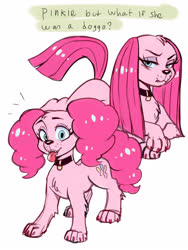 Size: 1200x1600 | Tagged: safe, artist:noupie, pinkie pie, dog, g4, cute, cuteamena, diapinkes, dogified, duality, duo, female, pinkamena diane pie, puppy pie, self paradox, solo, species swap