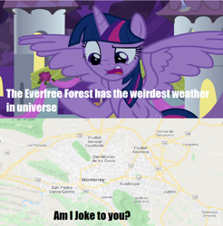 Size: 968x984 | Tagged: safe, edit, edited screencap, screencap, twilight sparkle, alicorn, pony, g4, the summer sun setback, caption, female, meme, monterrey, solo, twilight sparkle (alicorn)