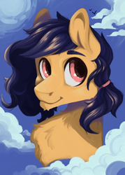 Size: 1750x2450 | Tagged: safe, artist:slimeprnicess, oc, oc only, oc:waypoint, pegasus, pony, cloud, cloudy, solo