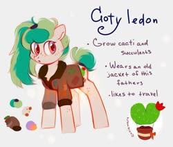 Size: 1300x1100 | Tagged: safe, artist:raily, pony, adoptable, cactus, clothes, jacket