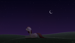 Size: 7000x4000 | Tagged: safe, artist:those kids in the corner, oc, oc only, oc:dried petals, earth pony, pony, absurd resolution, female, field, looking up, mare, moon, night, sad, solo, stars