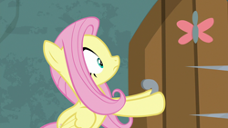 Size: 1920x1080 | Tagged: safe, screencap, angel bunny, fluttershy, pegasus, pony, g4, she talks to angel, body swap, female, mare, solo