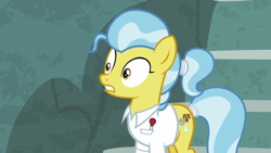 Size: 1920x1080 | Tagged: safe, screencap, doctor fauna, earth pony, pony, g4, she talks to angel, clothes, female, mare, ponytail, shirt, solo, tail wrap