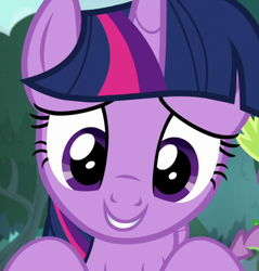 Size: 1032x1080 | Tagged: safe, edit, screencap, twilight sparkle, alicorn, pony, g4, she talks to angel, close-up, cropped, crouching, cute, looking at you, offscreen character, pov, solo, twiabetes, twilight sparkle (alicorn)