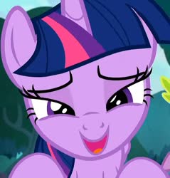 Size: 687x720 | Tagged: safe, edit, screencap, twilight sparkle, alicorn, pony, g4, she talks to angel, close-up, cropped, crouching, cute, lidded eyes, looking at you, offscreen character, open mouth, pov, solo, twiabetes, twilight sparkle (alicorn)