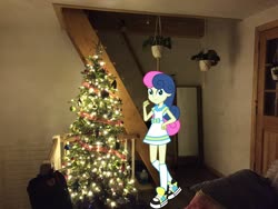 Size: 2048x1536 | Tagged: safe, artist:razethebeast, artist:topsangtheman, bon bon, sweetie drops, earth pony, pony, equestria girls, g4, christmas, christmas lights, christmas tree, equestria girls in real life, holiday, irl, looking at you, photo, plant, ponies in real life, solo, tree