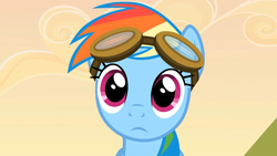 Size: 1920x1080 | Tagged: safe, screencap, rainbow dash, pegasus, pony, g4, hurricane fluttershy, aviator goggles, cute, dashabetes, female, goggles, looking at you, mare, solo