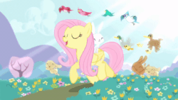 Size: 854x480 | Tagged: safe, screencap, angel bunny, fluttershy, bird, blue jay, duck, pegasus, pony, rabbit, filli vanilli, g4, angelbetes, animal, animated, chickadee (bird), cute, eyes closed, female, flower, flower in hair, folded wings, grass, happy, hill, house finch, lighting, mountain, music in the treetops, op, purple martin, shyabetes, singing, sun, trotting, wings