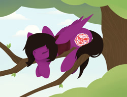 Size: 1300x1000 | Tagged: safe, artist:maksoys, pegasus, pony, clothes, cloud, commission, eyes closed, folded wings, lineless, male, pierce the veil, ponified, shirt, sky, sleeping, solo, stallion, t-shirt, tree, tree branch, vic fuentes, wings, ych result