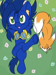 Size: 1533x2048 | Tagged: safe, artist:steelsoul, earth pony, fox, pony, duo, goggles, male, miles "tails" prower, ponified, sonic the hedgehog, sonic the hedgehog (series), stallion