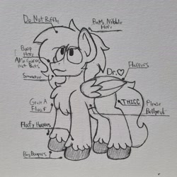 Size: 2311x2311 | Tagged: safe, artist:drheartdoodles, oc, oc only, oc:dr.heart, clydesdale, pegasus, pony, chest fluff, high res, solo, traditional art, unshorn fetlocks