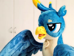 Size: 1024x768 | Tagged: safe, artist:nekokevin, gallus, griffon, g4, close-up, irl, male, open mouth, photo, plushie, smiling, solo, teenager