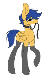 Size: 3916x6531 | Tagged: safe, artist:icicle-niceicle-1517, artist:kireiinaa, color edit, edit, flash sentry, pegasus, pony, g4, bedroom eyes, blushing, clothes, collaboration, collar, colored, commission, eyeshadow, leash, looking at you, makeup, male, malesub, missing cutie mark, mouth hold, pet play, raised hoof, simple background, socks, solo, stallion, stockings, submissive, thigh highs, transparent background