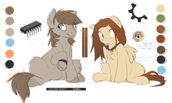 Size: 1754x1054 | Tagged: safe, artist:apple_nettle, oc, oc only, earth pony, pegasus, pony, duo, reference sheet