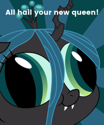 Size: 600x720 | Tagged: safe, artist:blanishna, edit, queen chrysalis, changeling, changeling queen, g4, caption, derp face, female, hey you, image macro, meme, solo, sunburst background, text, text edit