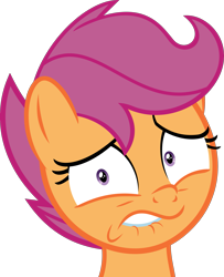 Size: 2413x2969 | Tagged: safe, artist:phucknuckl, scootaloo, pegasus, pony, g4, the last crusade, .svg available, female, filly, high res, lip bite, looking at you, reaction image, scared, simple background, solo, transparent background, uh oh, vector