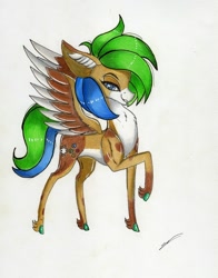 Size: 1280x1630 | Tagged: safe, artist:luxiwind, oc, oc only, oc:luxi wind, pegasus, pony, male, naughty face, pegasus oc, ponysona, solo, traditional art, wings