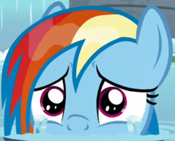 Size: 786x631 | Tagged: safe, screencap, rainbow dash, pegasus, pony, deep tissue memories, g4, my little pony: friendship is forever, cropped, crying, female, mare, solo, wet mane, wet mane rainbow dash