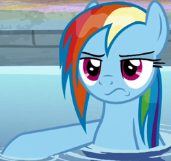 Size: 824x778 | Tagged: safe, screencap, rainbow dash, pegasus, pony, deep tissue memories, g4, my little pony: friendship is forever, cropped, female, mare, pouting, solo, water, wet mane, wet mane rainbow dash