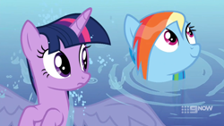 Size: 1920x1080 | Tagged: safe, screencap, rainbow dash, twilight sparkle, alicorn, pegasus, pony, deep tissue memories, g4, spoiler:deep tissue memories, spoiler:mlp friendship is forever, female, looking up, mare, smiling, spread wings, swimming, twilight sparkle (alicorn), water, wet, wet mane, wet mane rainbow dash, wings