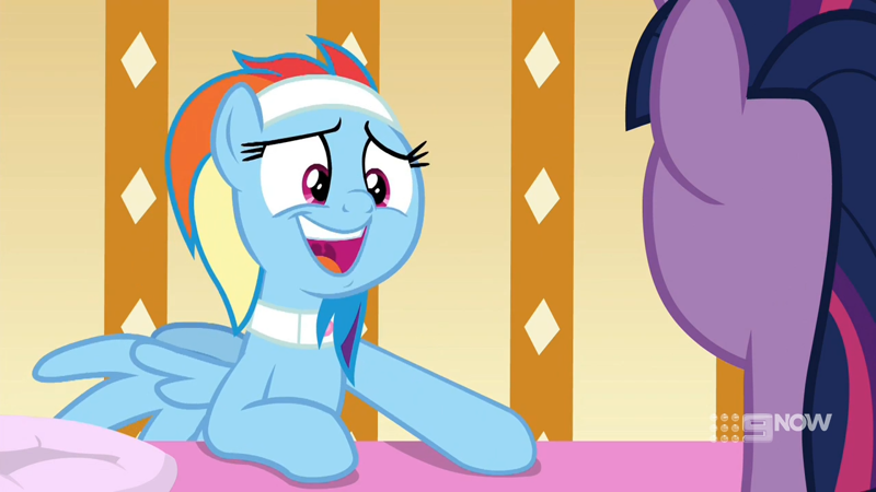 2345308 - safe, screencap, rainbow dash, twilight sparkle, alicorn